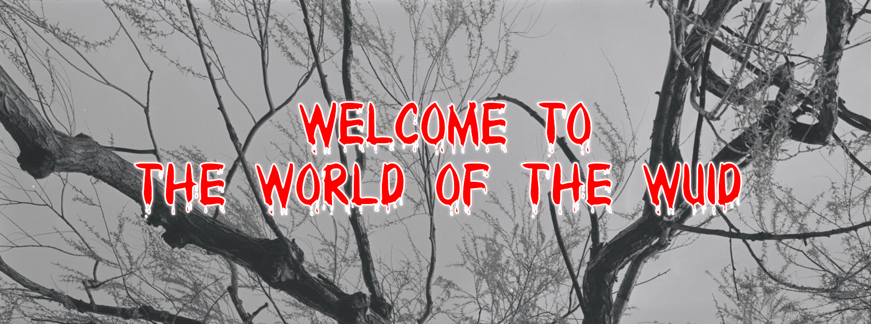 an image of a forum signature banner